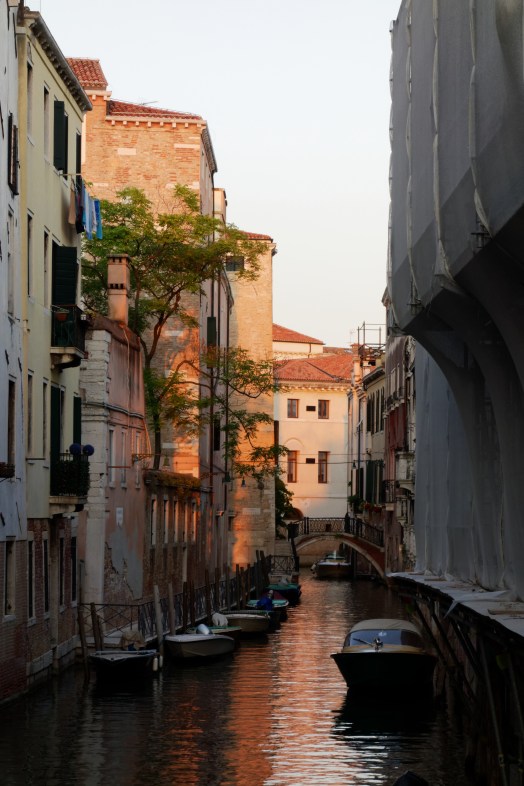 35428995034_4541655db9_o